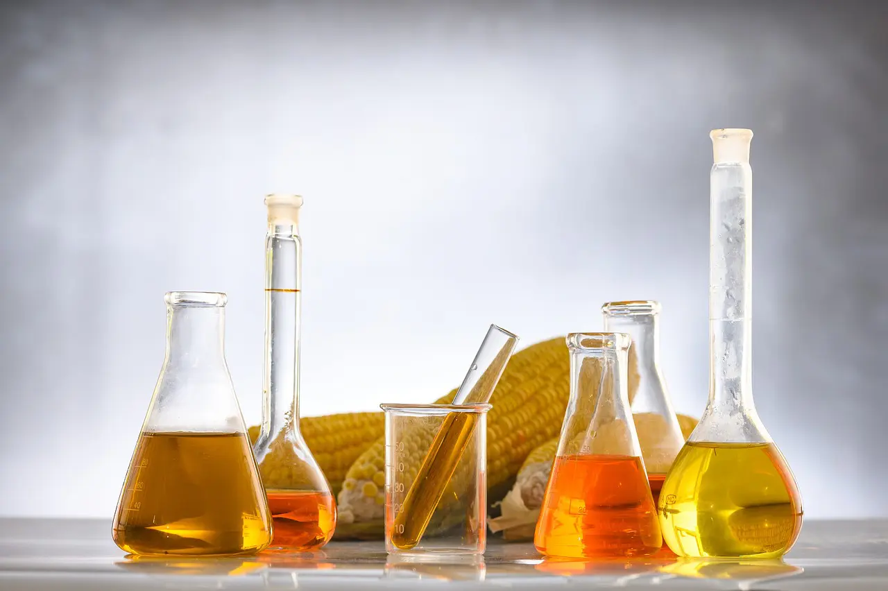 BIOKAMINO INFO DIFFERENZA TRA ETANOLO E BIOETANOLO 2